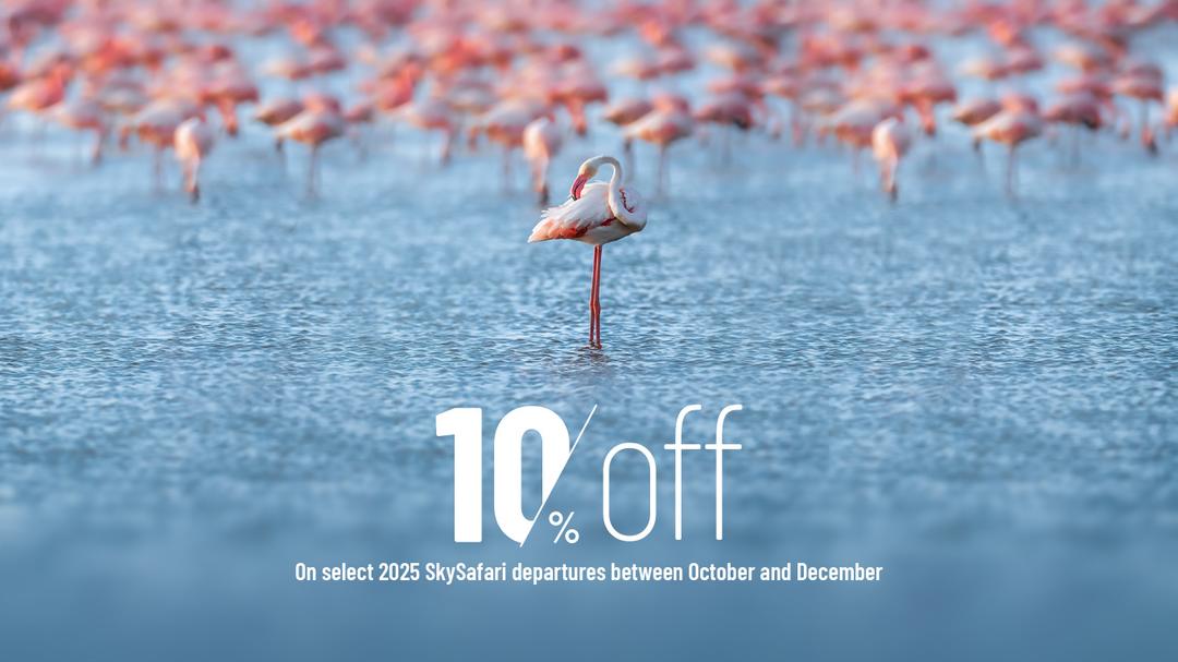 Special Offers