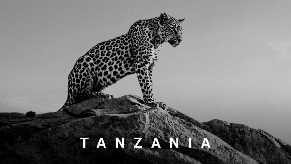 SkySafari Tanzania