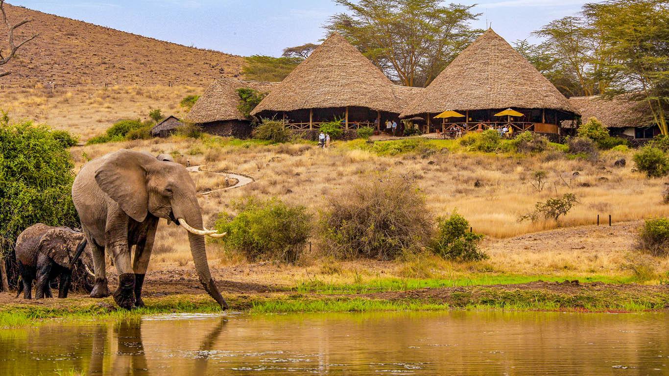 Tortilis-Camp-Elephants-By-The-Water-Hole