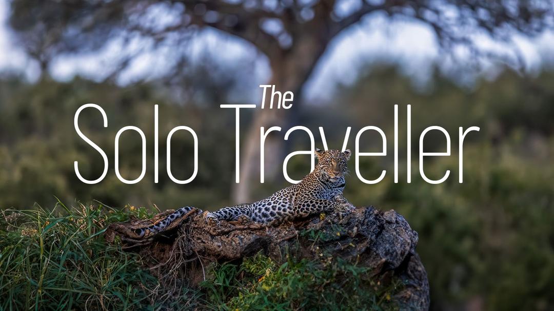 Solo traveller on safari